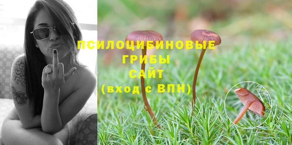 трава Абинск