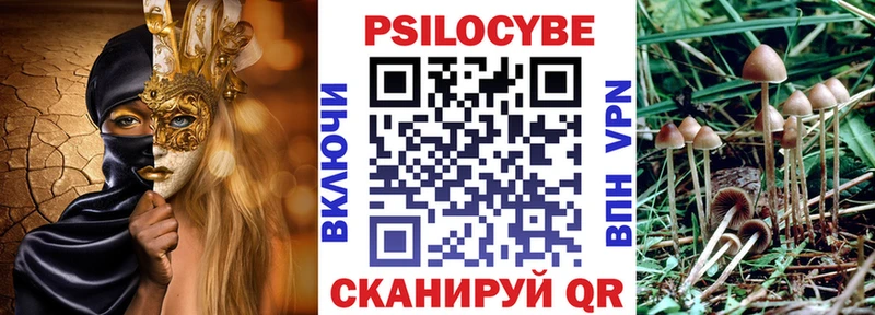 Галлюциногенные грибы Cubensis  Задонск 